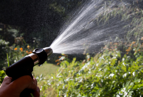 Water garden with hose.