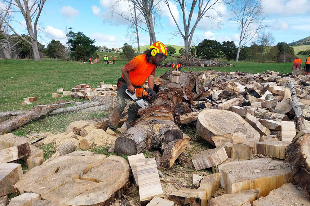 Man wearing safety gear cutting wood with a chainsaw.