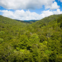 Air Force to help Piroa/Brynderwyn conservation work
