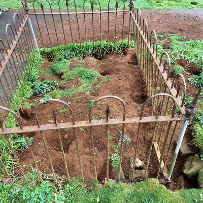 Rabbit holes on grave.