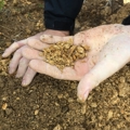 Erosion and soils