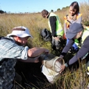 Wetlands perform under-appreciated yet vital role; NRC