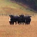 ‘Kinder’ summer to date, but water conservation still sensible