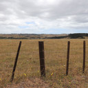 Warmer, drier, windier summer for Northland