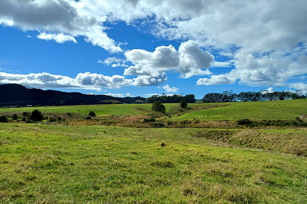 Fenced wetland on farm.