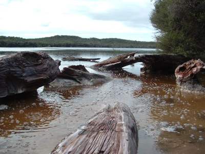 Lake Waiparaheka, Ngāwhā Springs. 