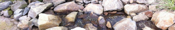 Dragonfly springs fish pass (Photo: Horizons Regional Council). 