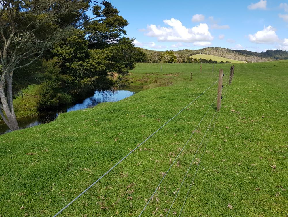 Buffer zones along the water’s edge help slow runoff and reduce the amount of contaminants entering the water.