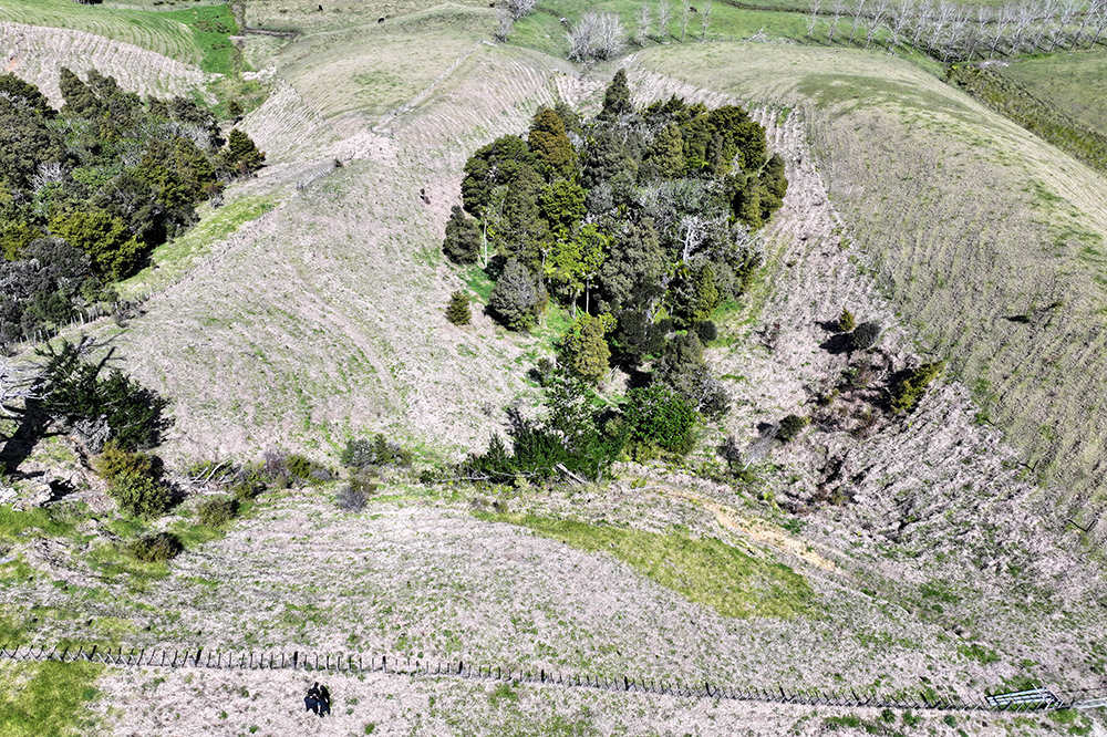 Aerial view of planted farmland.