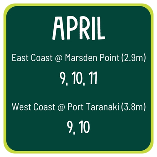 Dates for king tides 9, 10, 11 April 2024.