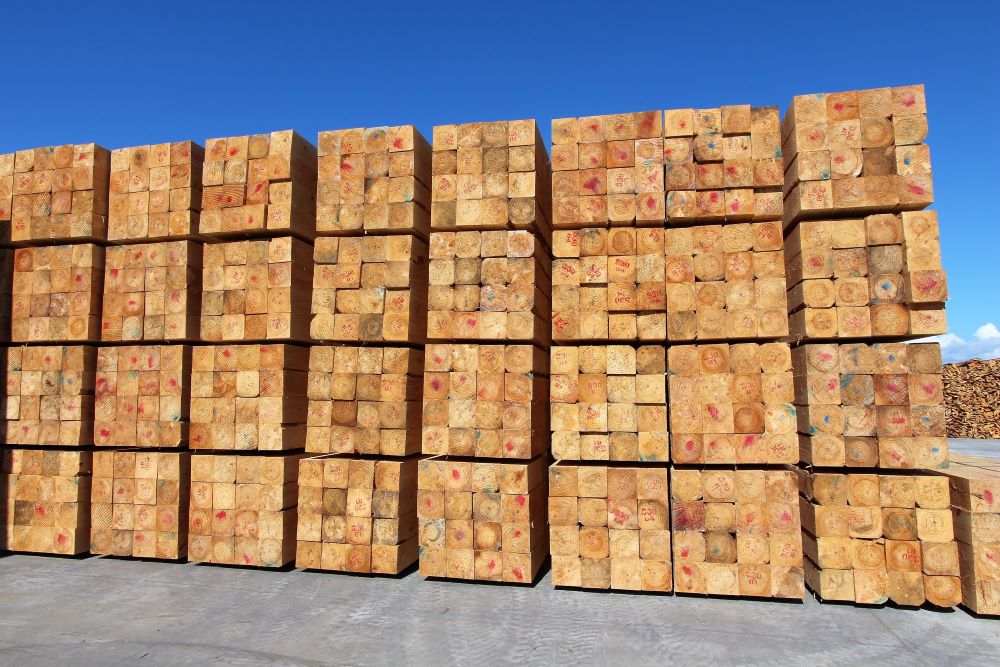 Processed timber.