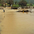 River flooding