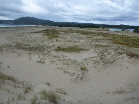 Ngunguru Sandspit.