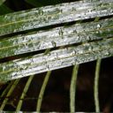 Joint Climate Change Adaptation Committee - 20 February