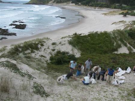 Bream Head Restoration Committee - Working bee at Ocean Beach. 