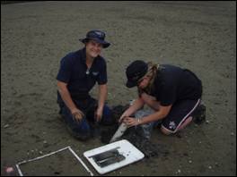 Taking samples from an estuary.