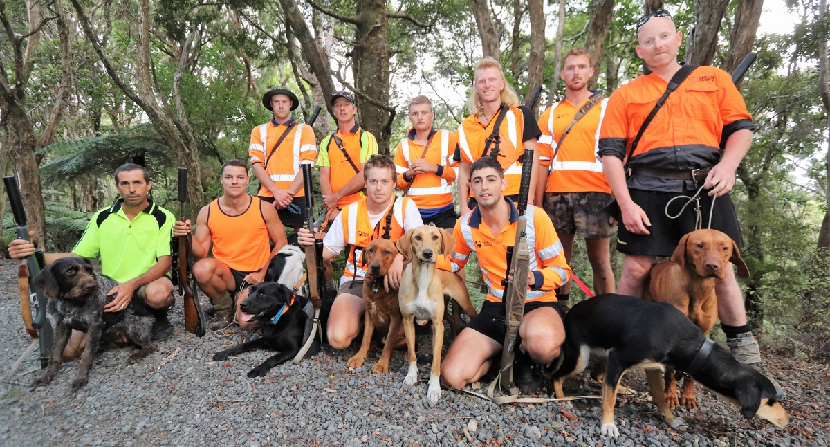 Group of hunters with firearms and dogs.