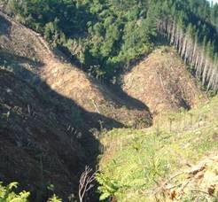 Erosion prone land.