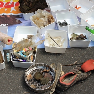 Coastal Litter Monitoring Sorted Litter (400)