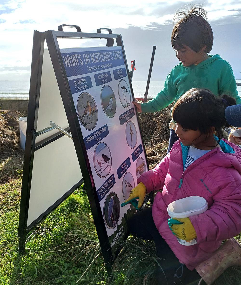 Two children look at pictures of birds on a CoastCare sign at Taipā.