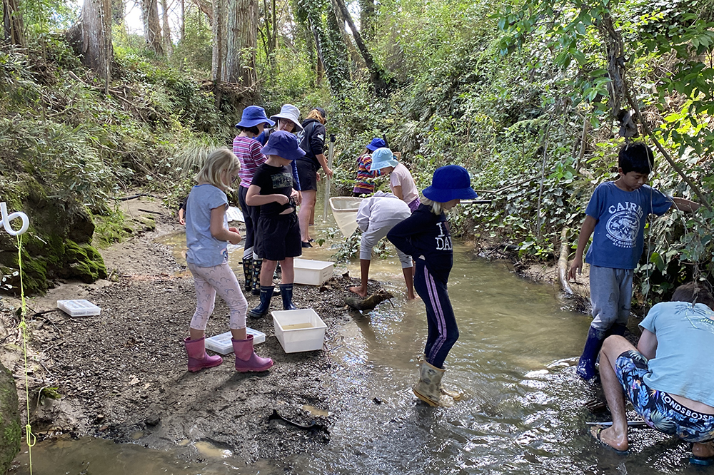 Students working in the stream.