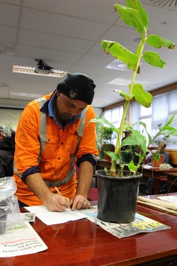 Weed workshop Whangarei 2013.