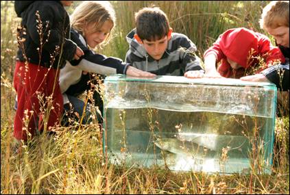 Children help to release grass carp at Lake Swan.