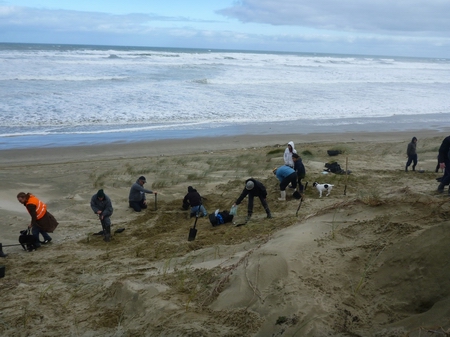 Waipapakauri Coastal Care Group. 