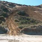 Vehicle damage on sand dunes.