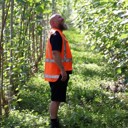 Hill country heroes; poplars and willows
