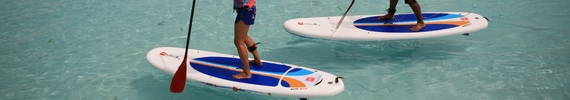 Two paddleboards on water.