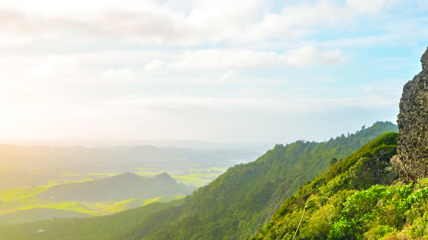 View from Mt Manaia