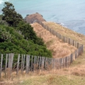 Environment Fund