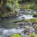 Wide range of views on freshwater plan ‘no surprise’