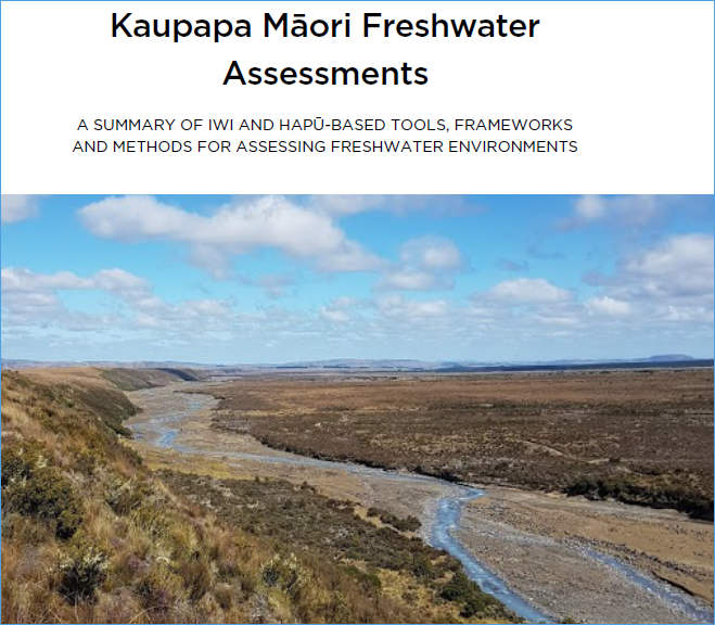 Cover of the Kaupapa Māori Freshwater Assessments document.