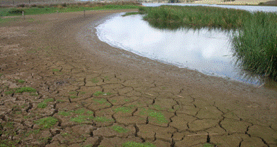 Lake Owhareti during the 2009/2010 drought (©: Bee Scene Photography). 