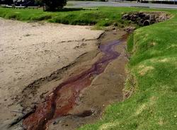 Iron oxide in water.