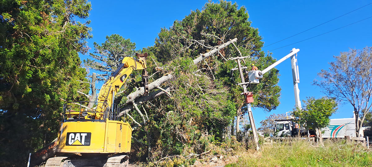 Removing tree fallen on power lines.