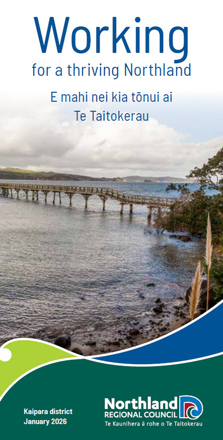 Jetty on Kaipara coast.