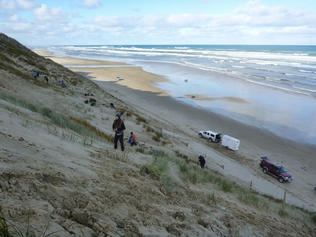 Baylys Beach Society - planting day. 