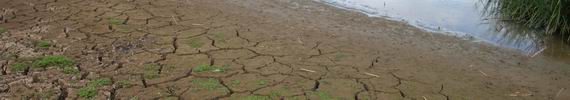 Dry Lake Owhareiti.