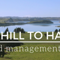 Hills to Harbour