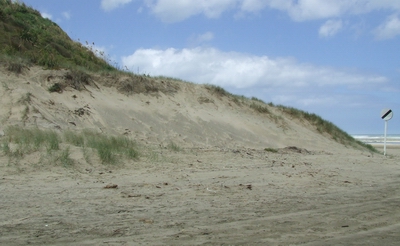 Baylys Beach, February 2007.