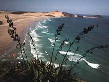 Beach on the West coast of Northland.