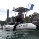 Hull marine pest surveys under way