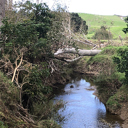 Council unveils cyclone recovery measures