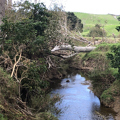 Cyclone recovery funding for trees in rivers