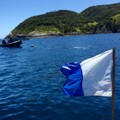 Diving and dive flags