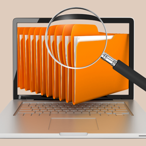 File Search