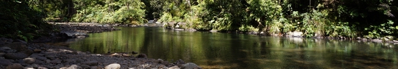 Waipoua River. 
